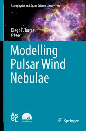 Modelling Pulsar Wind Nebulae