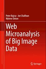 Web Microanalysis of Big Image Data
