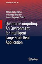 Quantum Computing:An Environment for Intelligent Large Scale Real Application