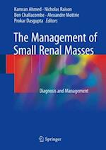 Management of Small Renal Masses