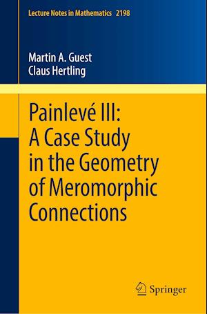 Painlevé III: A Case Study in the Geometry of Meromorphic Connections