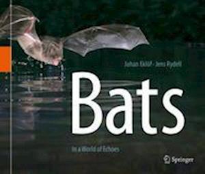 Bats