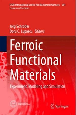 Ferroic Functional Materials