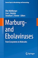 Marburg- and Ebolaviruses