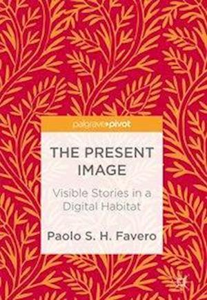 The Present Image