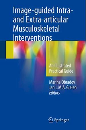 Image-guided Intra- and Extra-articular Musculoskeletal Interventions