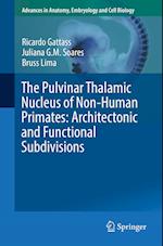 The Pulvinar Thalamic Nucleus of Non-Human Primates: Architectonic and Functional Subdivisions