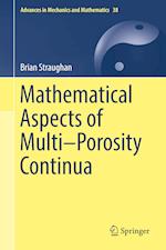Mathematical Aspects of Multi–Porosity Continua