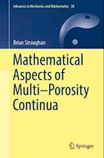 Mathematical Aspects of Multi-Porosity Continua