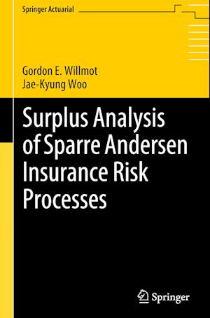 Surplus Analysis of Sparre Andersen Insurance Risk Processes