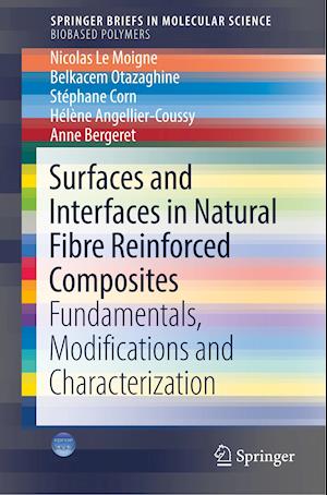 Surfaces and Interfaces in Natural Fibre Reinforced Composites