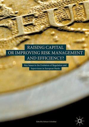 Raising Capital or Improving Risk Management and Efficiency?