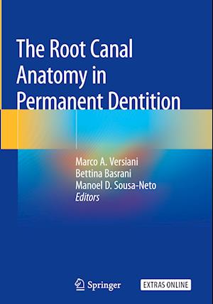 The Root Canal Anatomy in Permanent Dentition