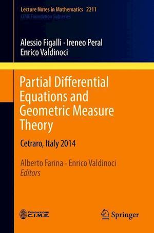 Partial Differential Equations and Geometric Measure Theory