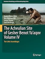 The Acheulian Site of Gesher Benot Ya‘aqov Volume IV