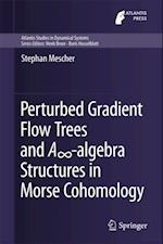 Perturbed Gradient Flow Trees and Ainfinity-algebra Structures in Morse Cohomology