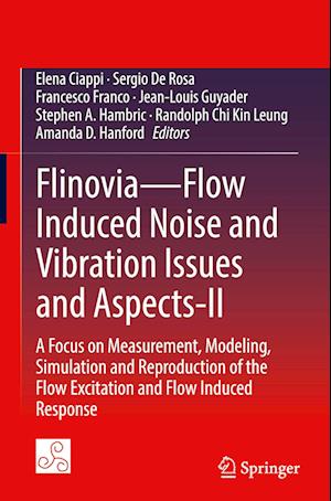 Flinovia—Flow Induced Noise and Vibration Issues and Aspects-II