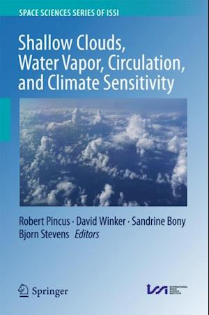 Shallow Clouds, Water Vapor, Circulation, and Climate Sensitivity