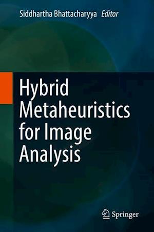 Hybrid Metaheuristics for Image Analysis