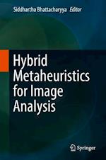 Hybrid Metaheuristics for Image Analysis