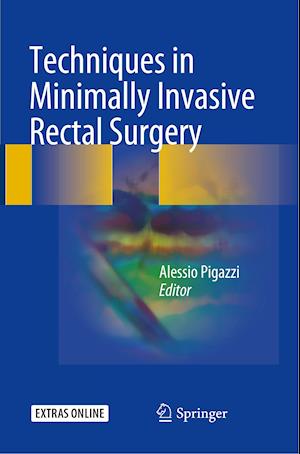 Techniques in Minimally Invasive Rectal Surgery