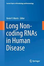 Long Non-coding RNAs in Human Disease