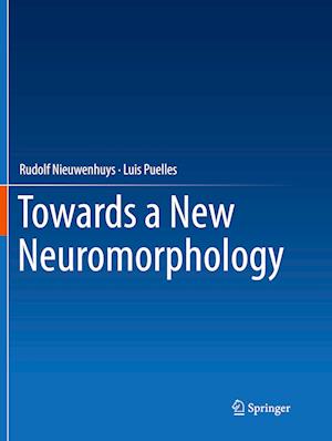 Towards a New Neuromorphology