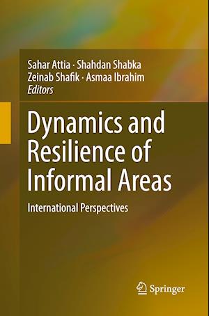 Dynamics and Resilience of Informal Areas