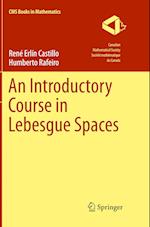 An Introductory Course in Lebesgue Spaces