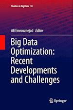 Big Data Optimization: Recent Developments and Challenges