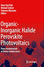 Organic-Inorganic Halide Perovskite Photovoltaics