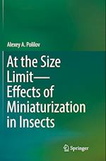 At the Size Limit - Effects of Miniaturization in Insects