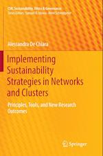 Implementing Sustainability Strategies in Networks and Clusters
