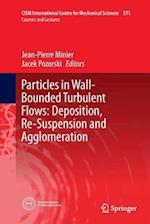 Particles in Wall-Bounded Turbulent Flows: Deposition, Re-Suspension and Agglomeration