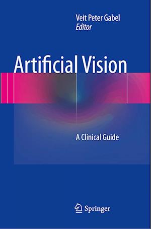 Artificial Vision