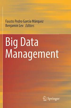 Big Data Management