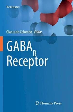 GABAB Receptor