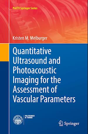 Quantitative Ultrasound and Photoacoustic Imaging for the Assessment of Vascular Parameters