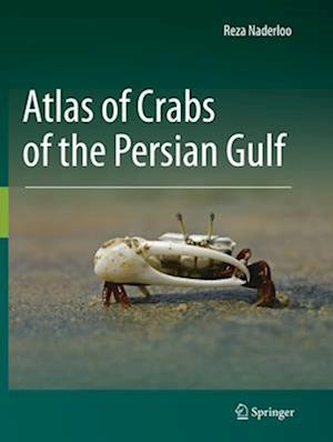Atlas of Crabs of the Persian Gulf
