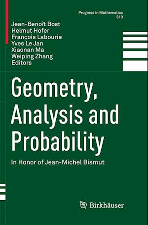 Geometry, Analysis and Probability