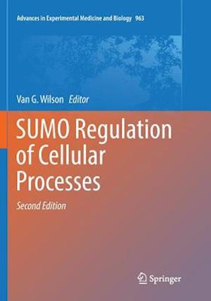 SUMO Regulation of Cellular Processes