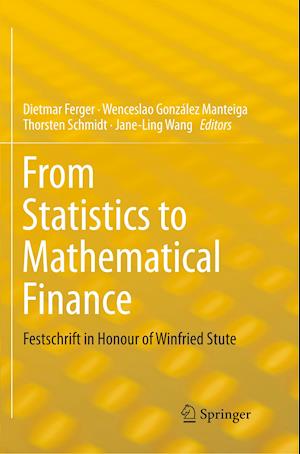 From Statistics to Mathematical Finance