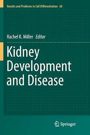 Kidney Development and Disease