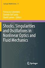 Shocks, Singularities and Oscillations in Nonlinear Optics and Fluid Mechanics