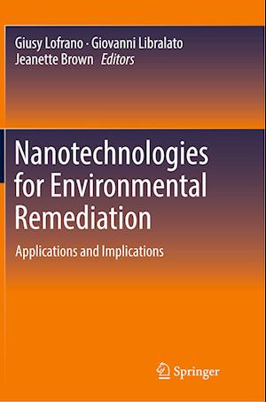 Nanotechnologies for Environmental Remediation