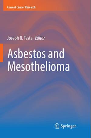 Asbestos and Mesothelioma