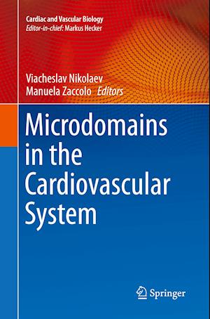 Microdomains in the Cardiovascular System