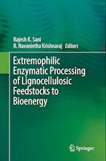 Extremophilic Enzymatic Processing of Lignocellulosic Feedstocks to Bioenergy