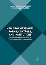 New Organizational Forms, Controls, and Institutions