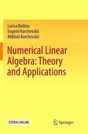 Numerical Linear Algebra: Theory and Applications